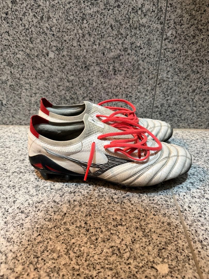 MORELIAネオ4β