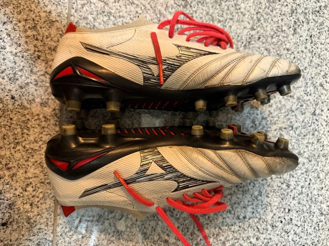 MORELIAネオ4β