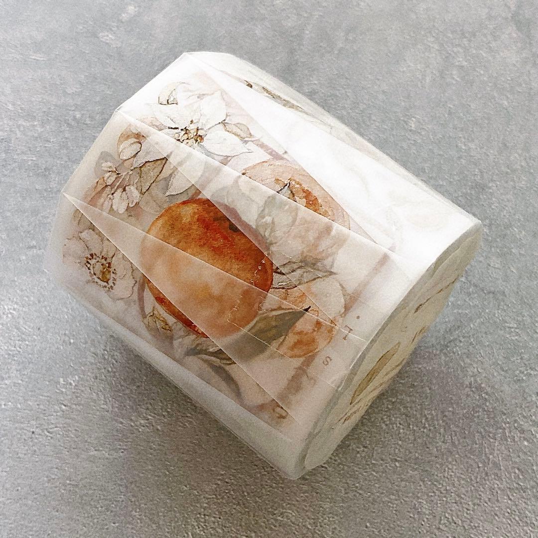 ⭐️SALE⭐️ 雀斑茶《橘枳》海外マスキングテープ　マステ 【1336】