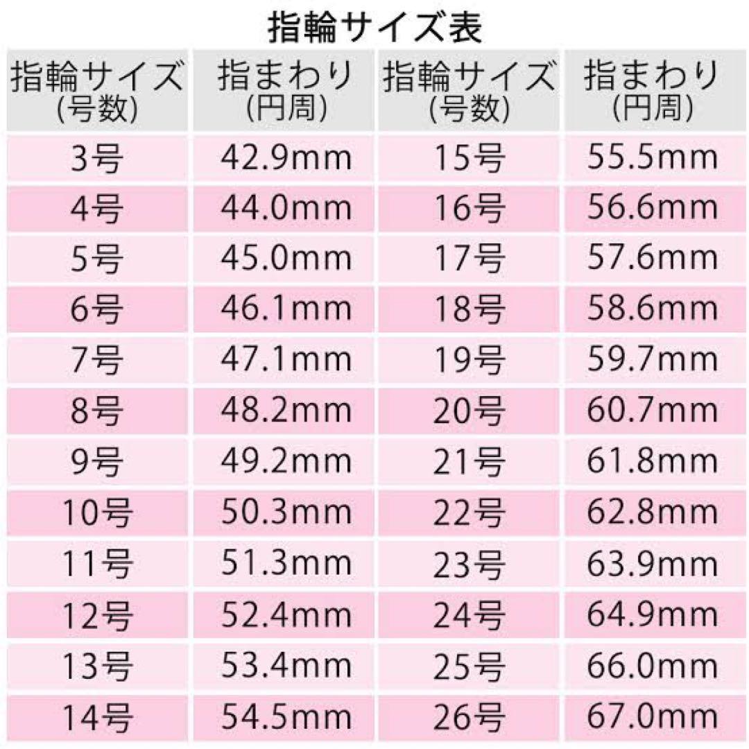 インテル　優勝記念リング　2020/21