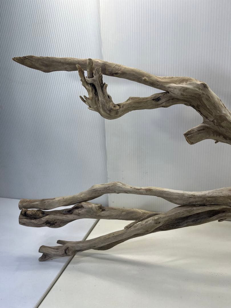 V24特大流木 アク抜き済み流木 爬虫類シェルター 登り木 インテリア 生け花