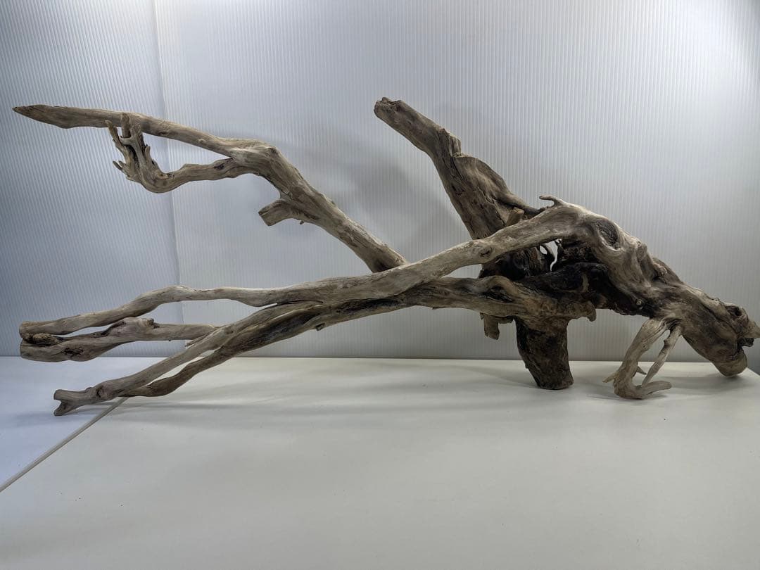 V24特大流木 アク抜き済み流木 爬虫類シェルター 登り木 インテリア 生け花