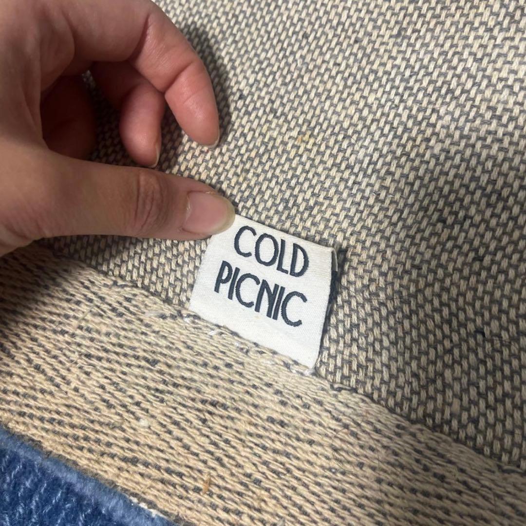 レア COLD PICNICラグ 4’×6’ Costumed