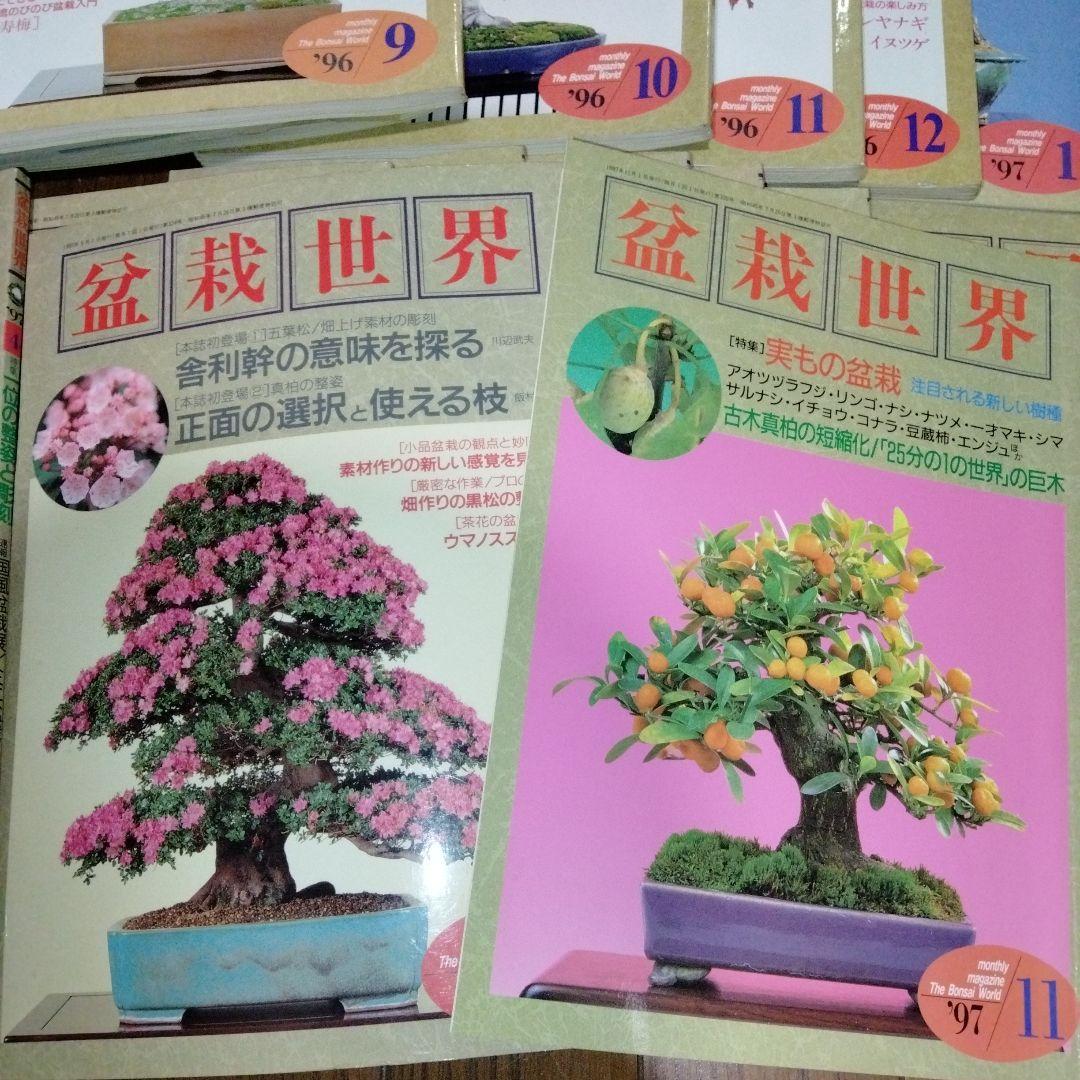 盆栽世界 1995-1997年 31冊　盆栽　BONSAI　平成　園芸　希少本