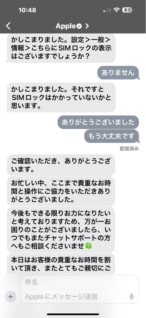 【美品】Apple iPad mini 第6世代 256GB セルラー