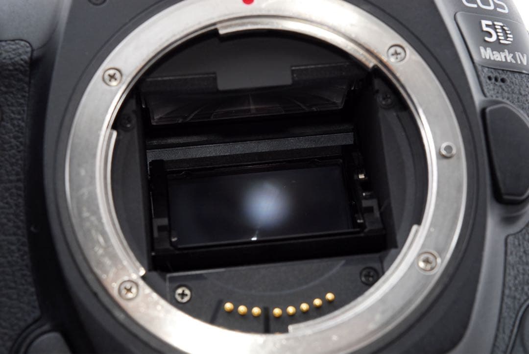 保証/Canon EOS 5D Mark IV標準&望遠&単焦点レンズセット