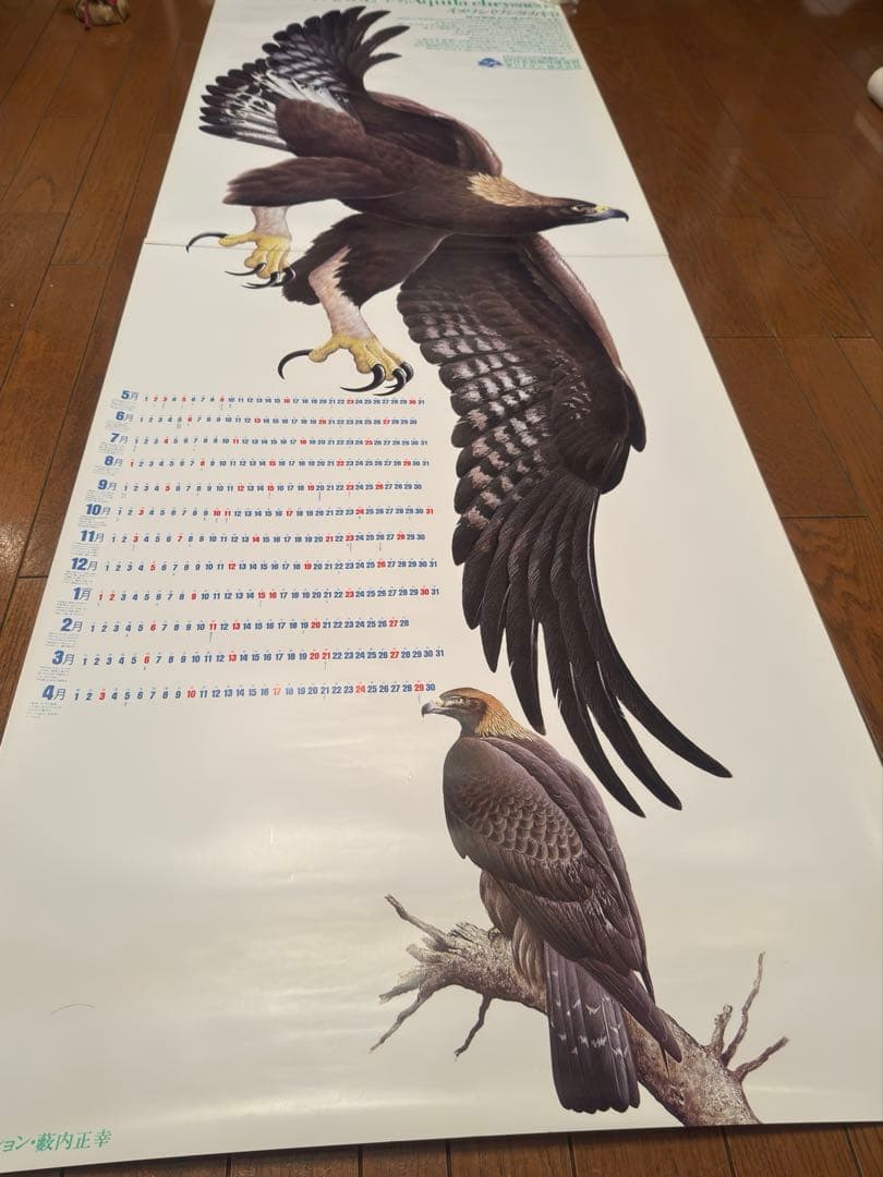 サントリー ポスター3枚セット アホウドリ イヌワシ 日本の県鳥 骨董品