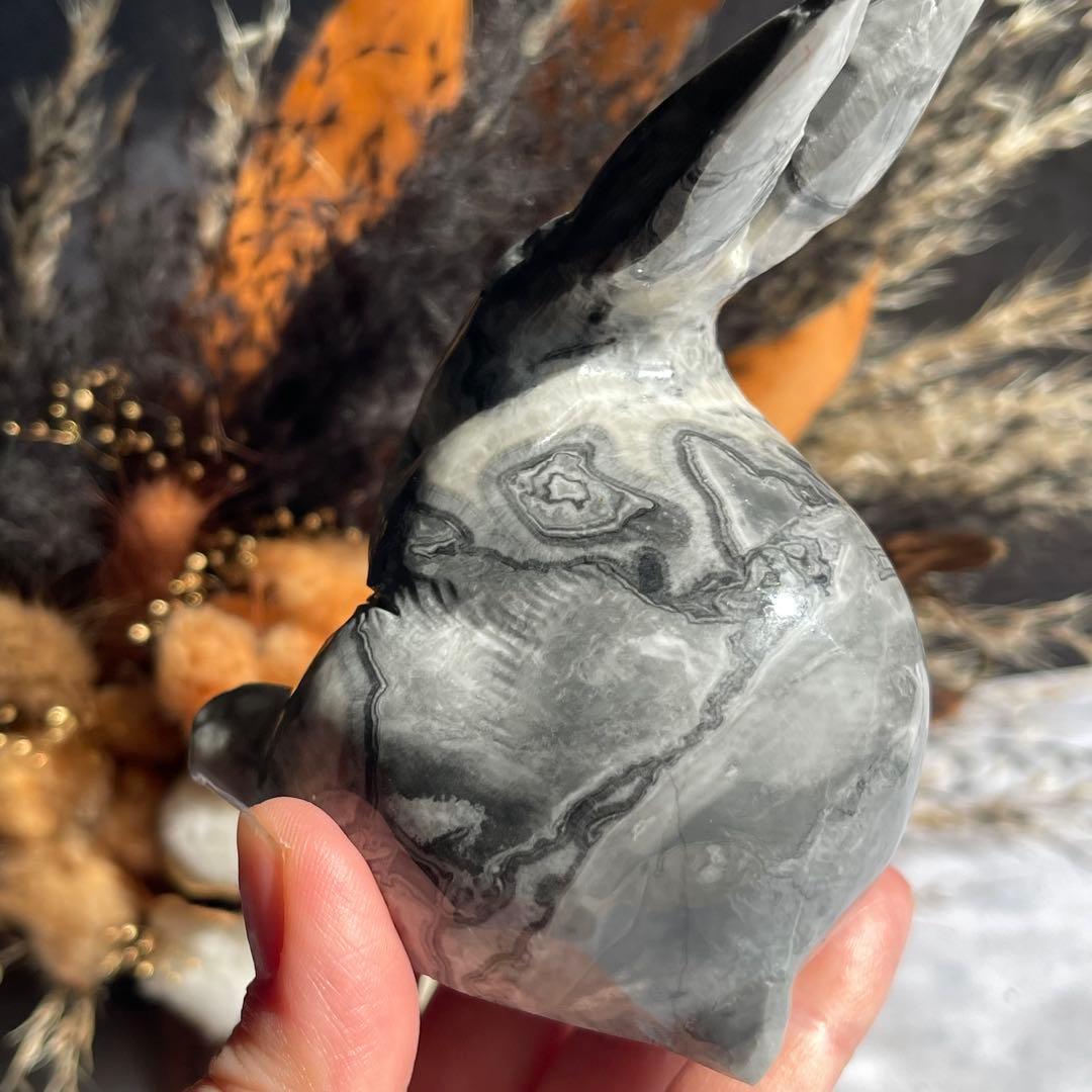 ピカソジャスパー うさぎ ラビット