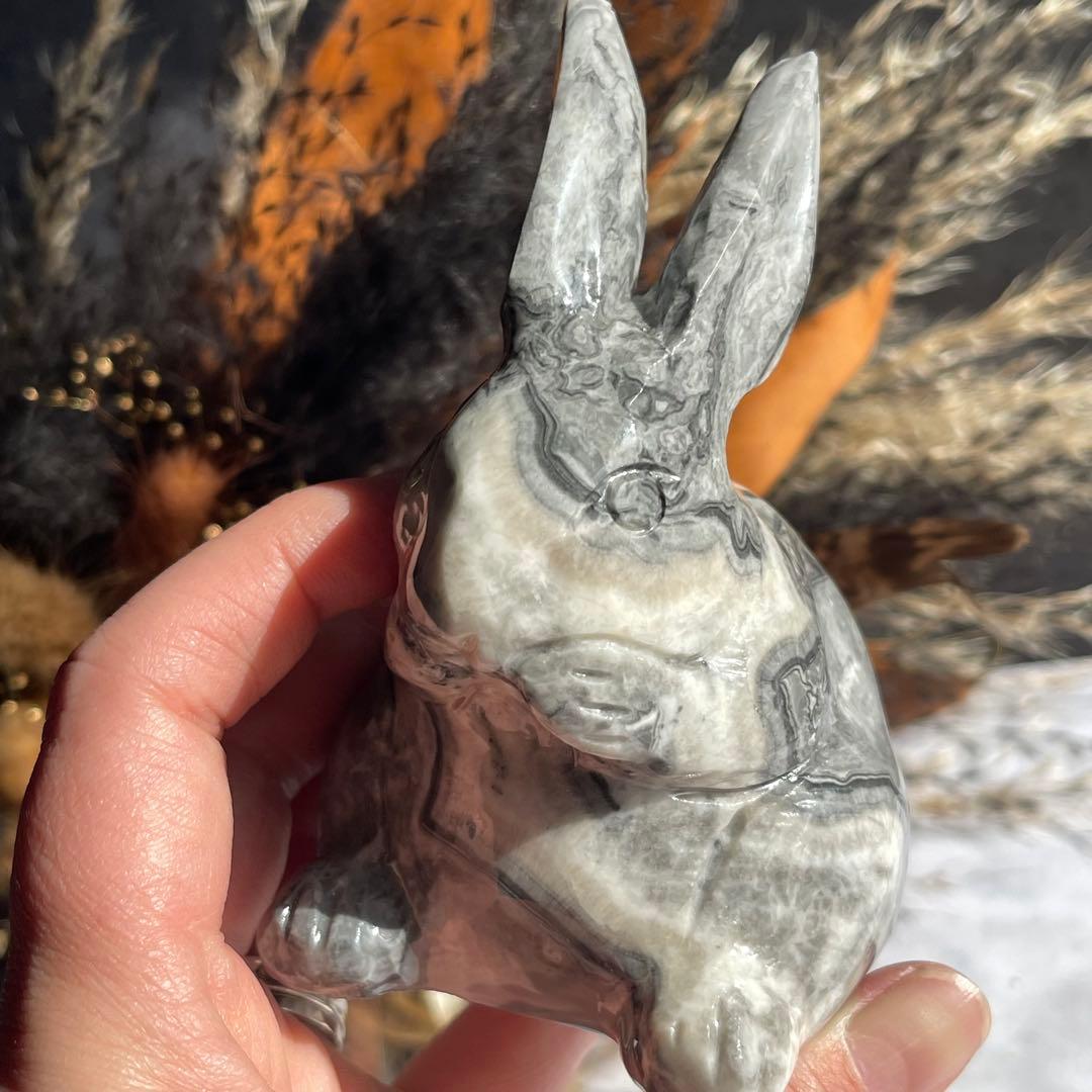 ピカソジャスパー うさぎ ラビット