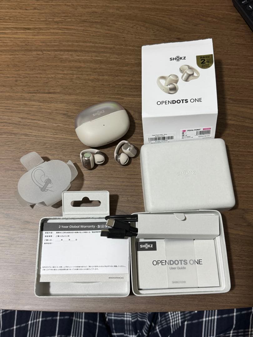 Shokz OpenDots ONE グレー