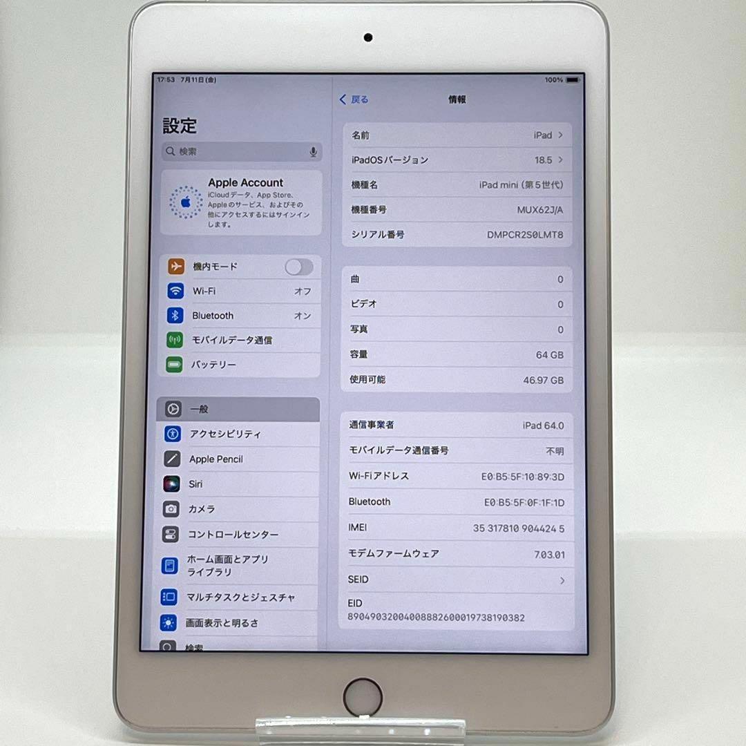 【良品】iPad mini 第5世代 cellular SIMフリーモデル㉗