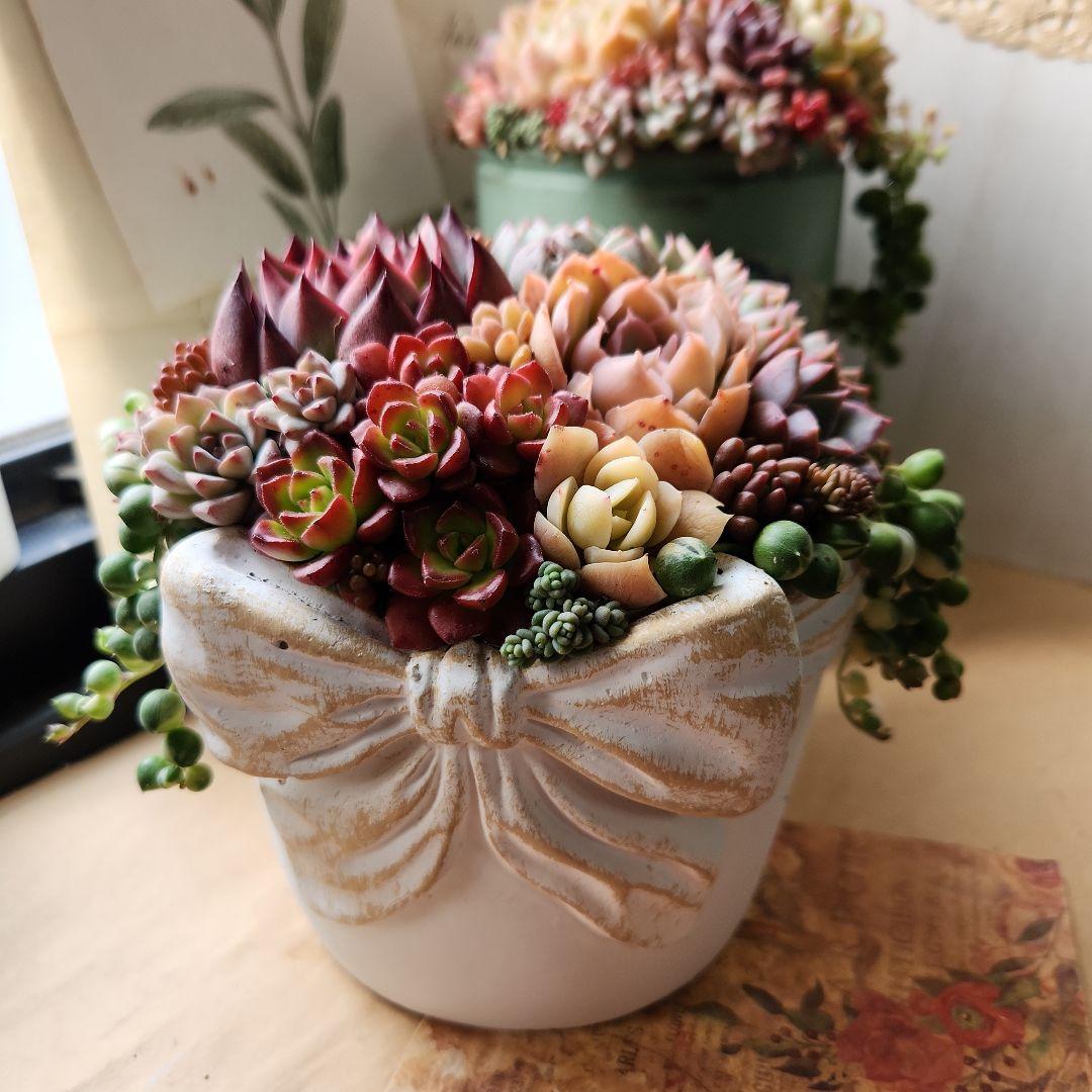 多肉植物寄せ植え　そのまま飾れる　バスケット♡