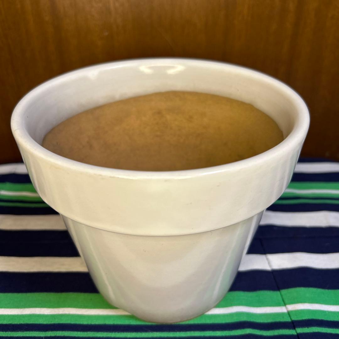美品 白の塗鉢3個セット、貫入入り2点20cm,19cmと貫入なし1点16㎝