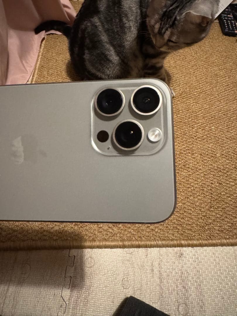 The Oil Man専用，海外版iphone 15 Pro Max 512GB