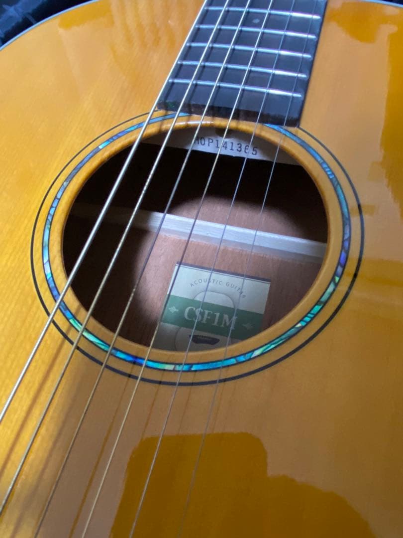最終値下げ！ CSF1M VN アコギ ギター アコースティックギター