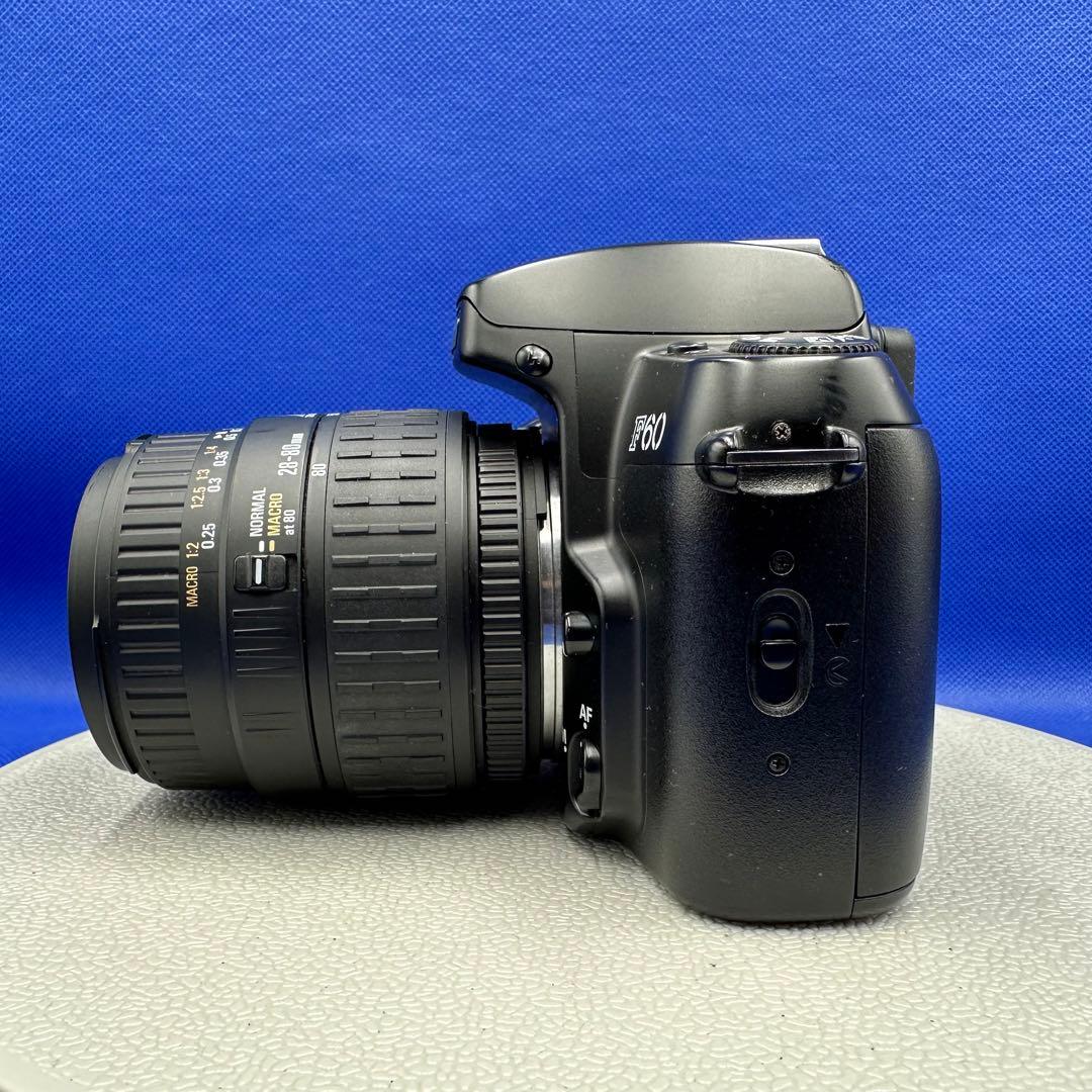 Nikon F60 SIGMA 28-80mm F3.5-5.6Ⅱ MACRO