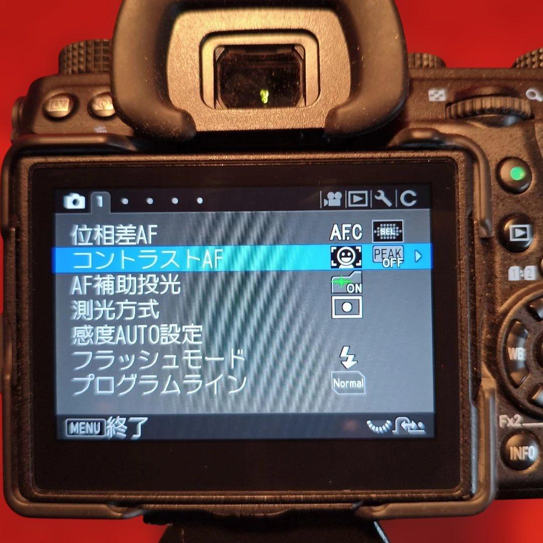 超望遠PENTAX D FA　カメラ PENTAX K-1MarkII