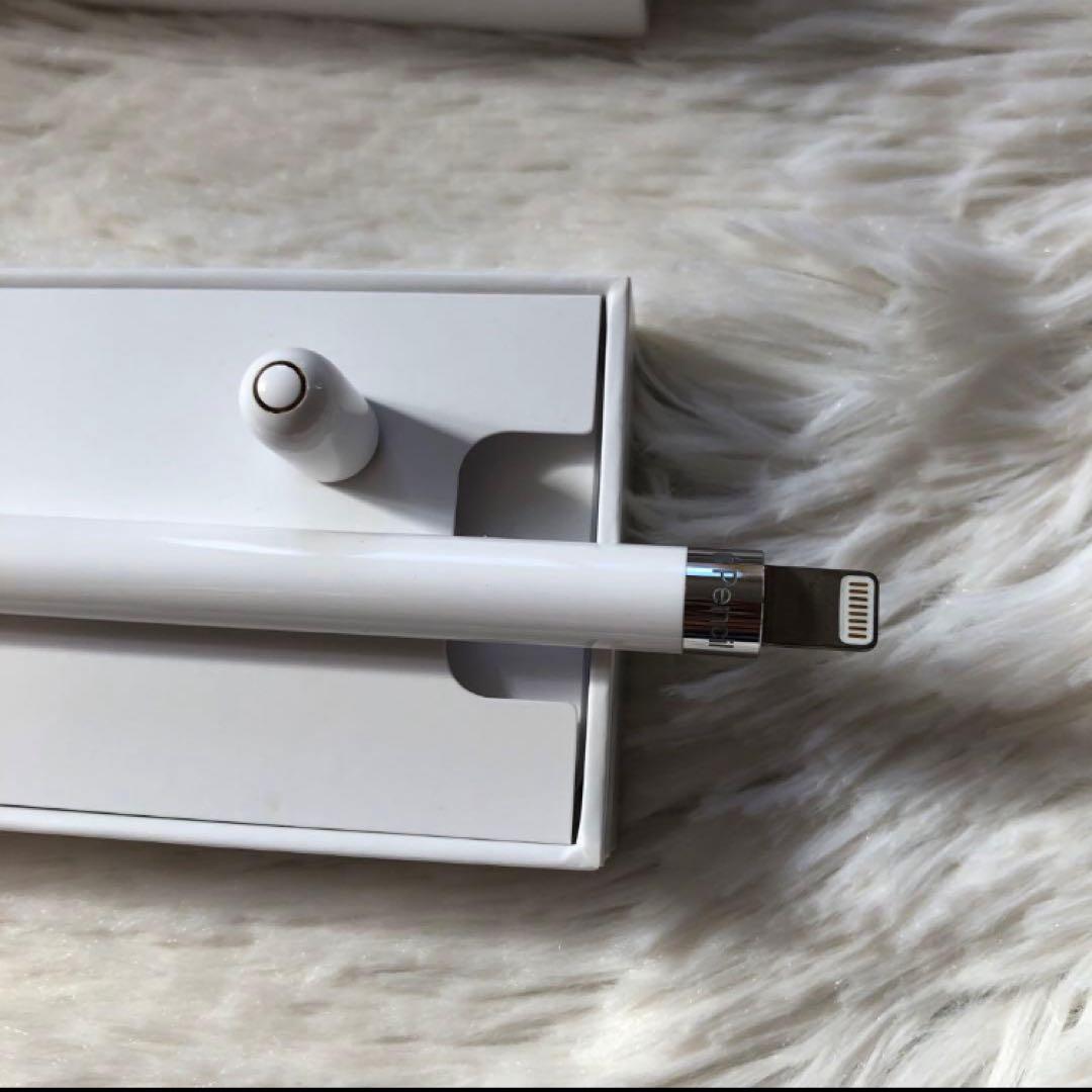 【早い者勝ち】iPad Pro 10.5 512GB 付属品多数！ 【すぐ発送】