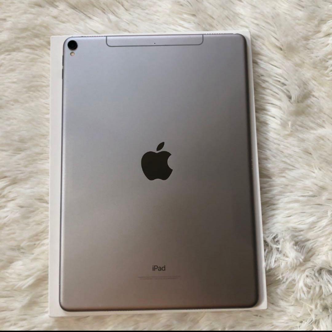 【早い者勝ち】iPad Pro 10.5 512GB 付属品多数！ 【すぐ発送】