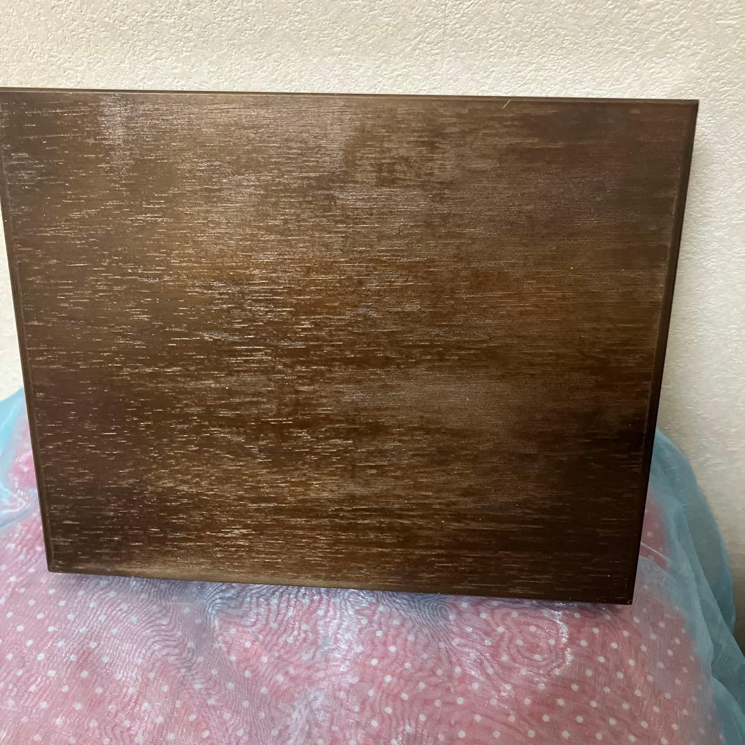 テングアゲハ　ペア（ベトナム）