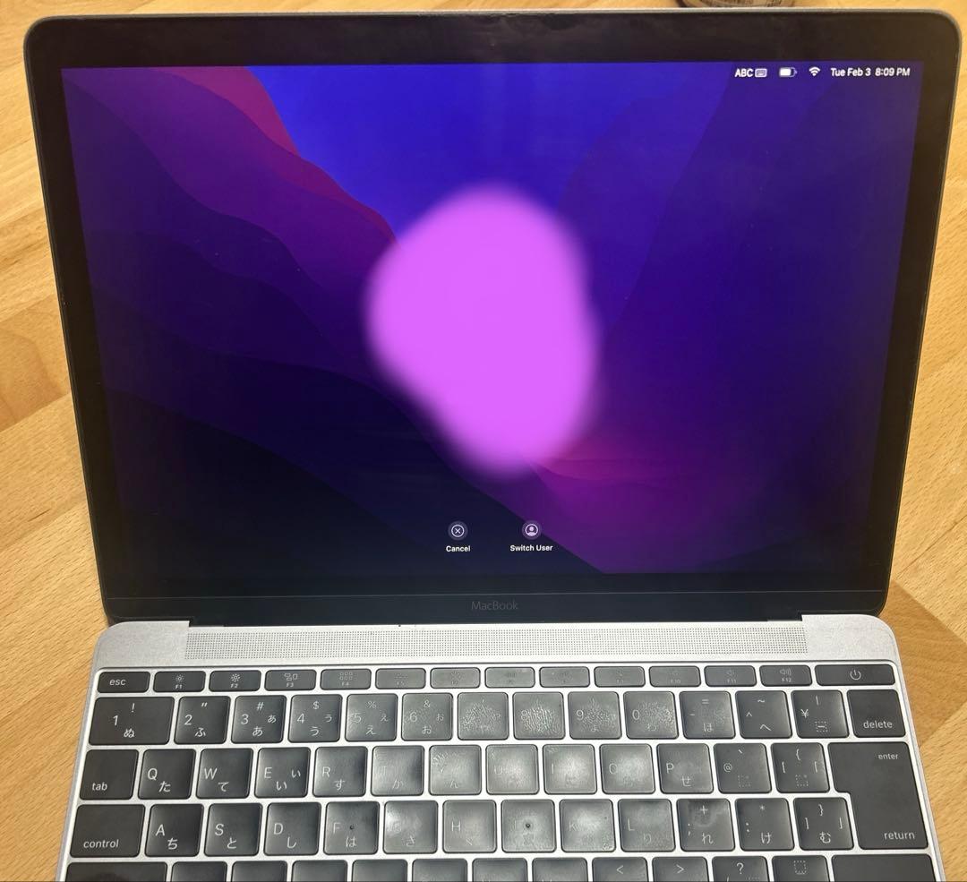 MacBook本体 MacBook(Retina,12-inch, Early 2016)