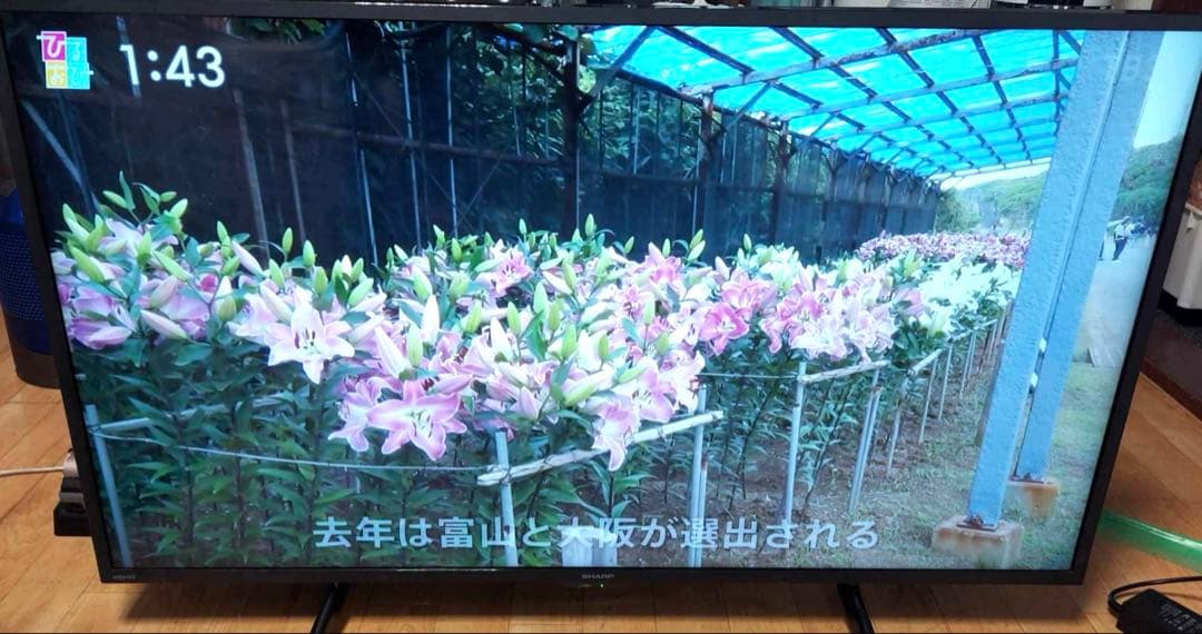 SHARP AQUOS 42V液晶テレビ 4T-C42DJ1 2021年製