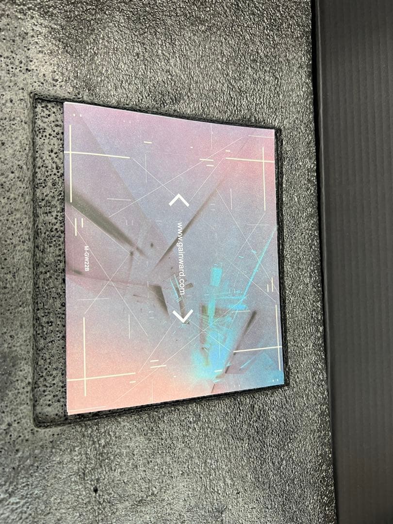 グラフィックボード・グラボ・ビデオカード GAINWARD GeForce RTX3080Ti