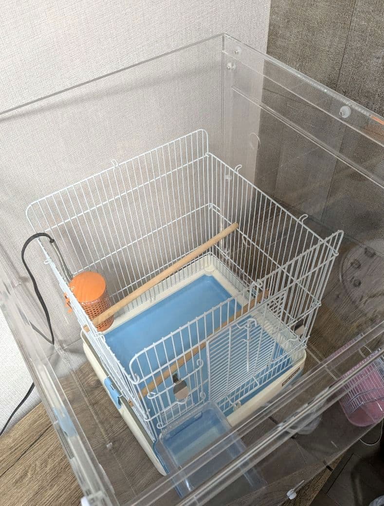 【キズあり】BIRDMORE アクリルケージケース 1点