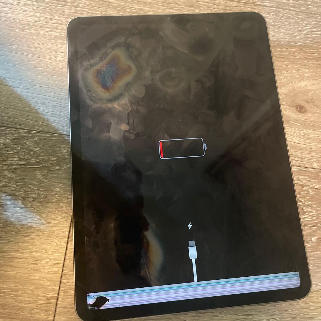 iPod Pro １１ gen 1