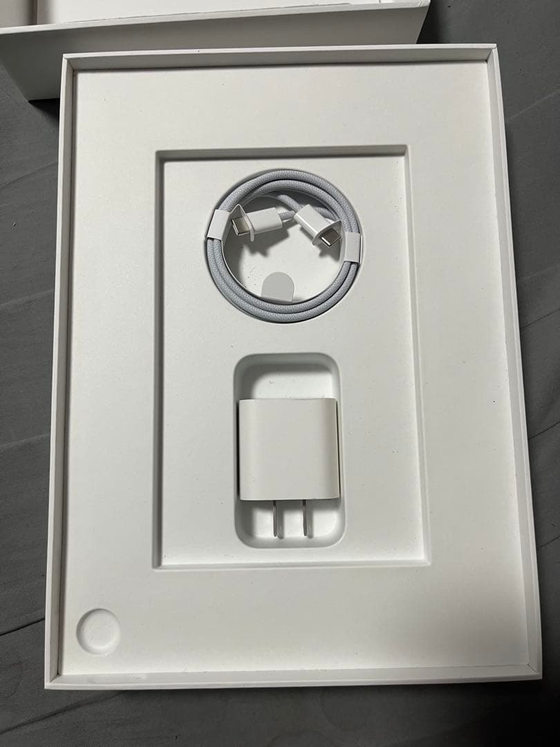 Apple iPad 第10世代　64GB シルバー 本体 充電器付き