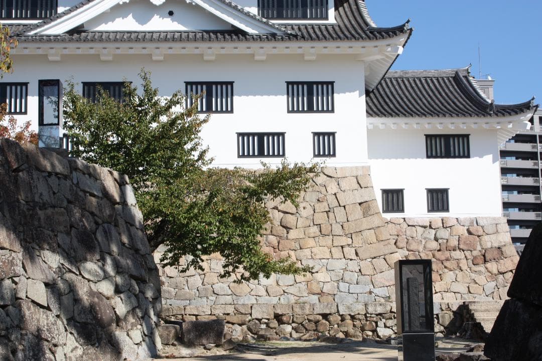 キャノンEOS KissX2、キヤノンズームレンズ28－80ｍｍ