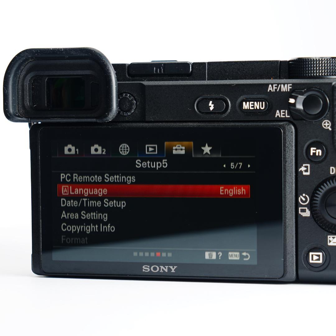 α6400で子供の瞬間を逃さない人生最後のチャンス SONY SD付き