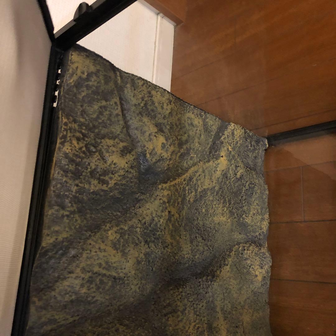 niko0917 Exo Terra 大型温室・ショーケース