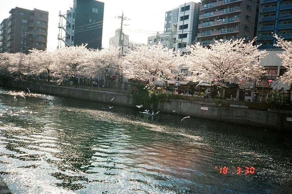 【未使用品/完動品】Kyocera P.Mini AF ★送料込み★