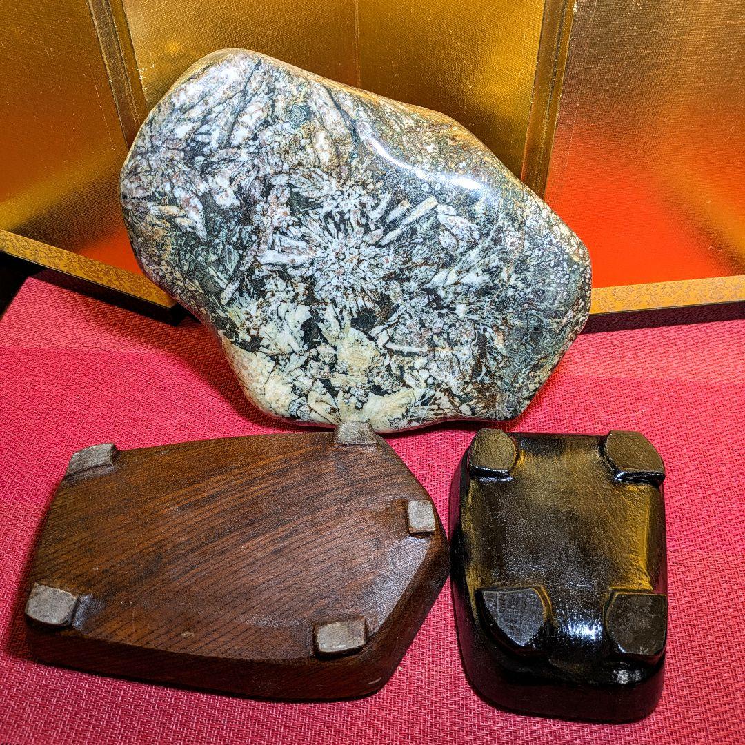 菊花石 縦横型 岐阜県根尾谷産4.8㌔ 鑑賞石 観賞石 水石 盆石 天然石 置物