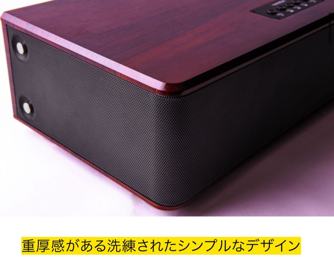 新品！HANZON サウンドボックス 無線マイク2本付き