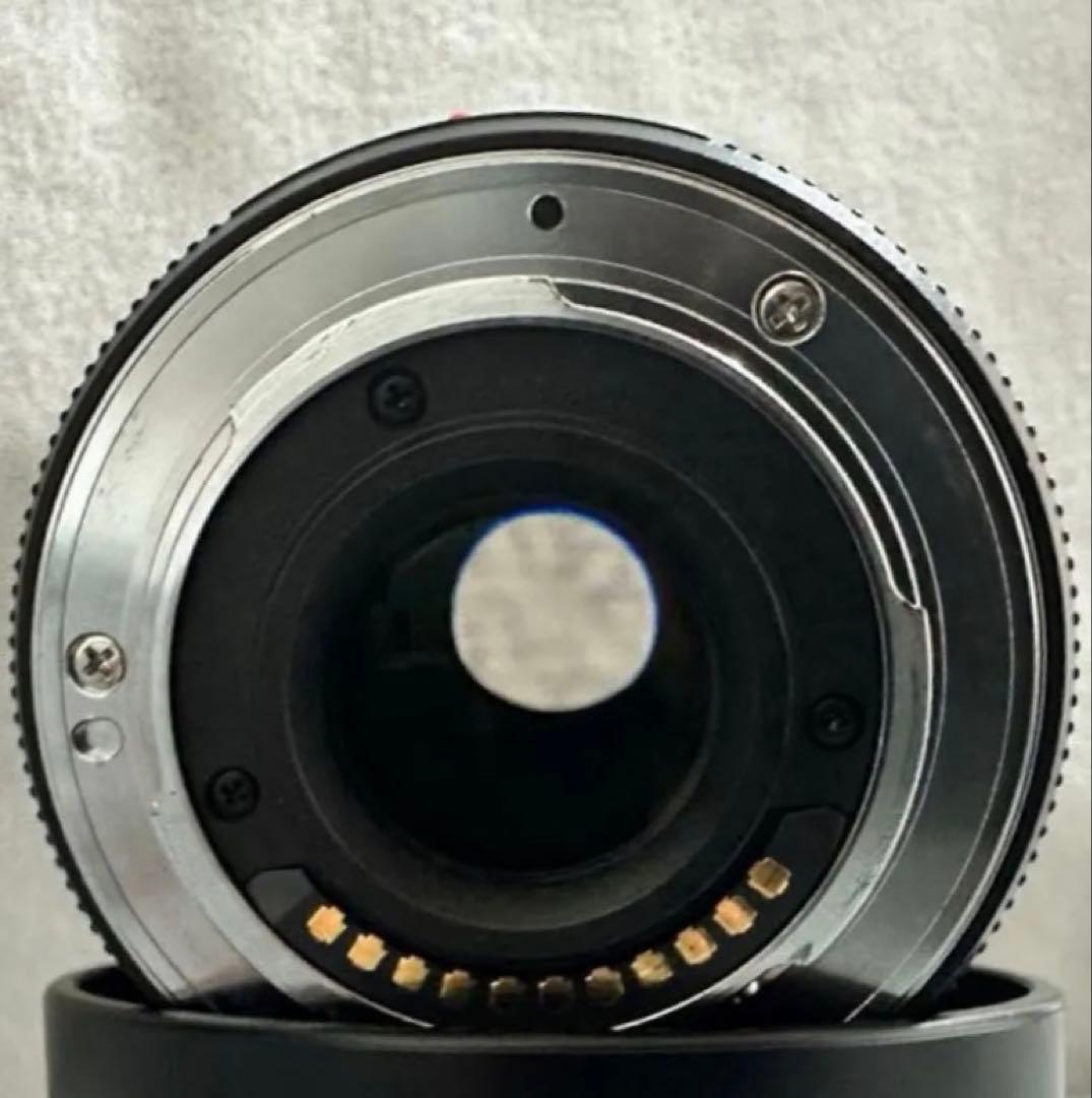 パナソニックG X VARIO PZ45-175mm/F4.0-5.6ASPH.