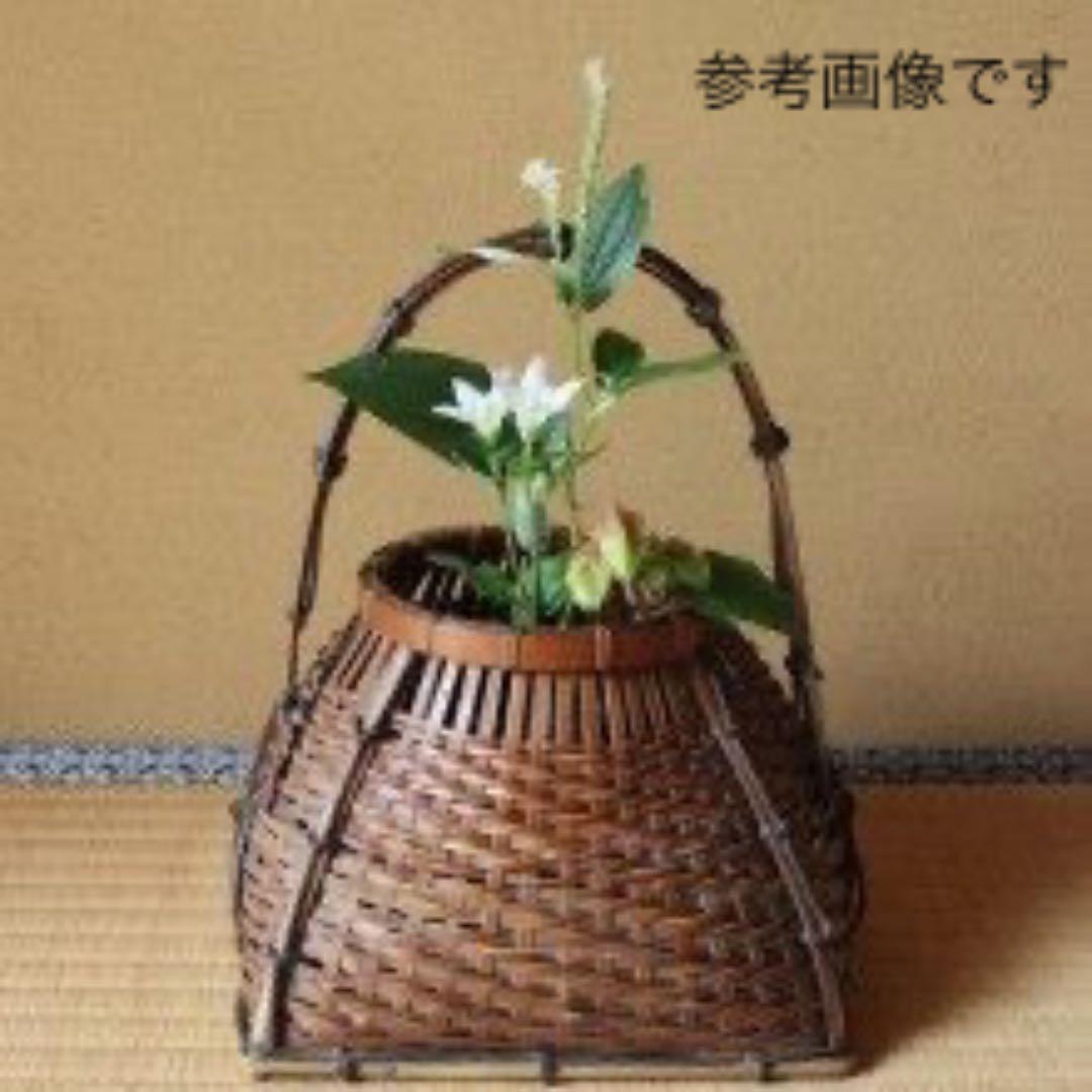 【籠花入21】宗全籠　手無し★竹美斉　高さ19㎝