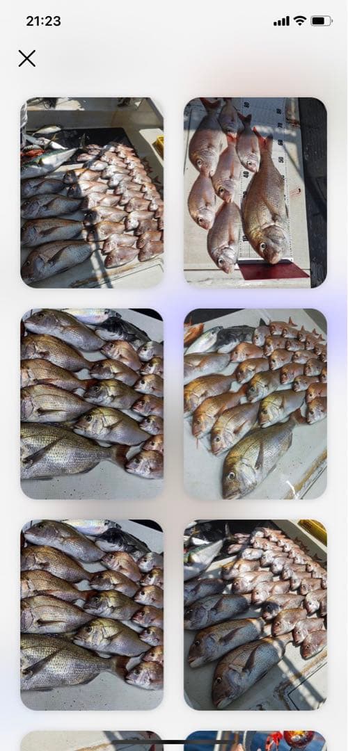 100g3個　夜光グロータイラバ　鯛ラバヘッド　タングステン　ネクタイ　送料無料