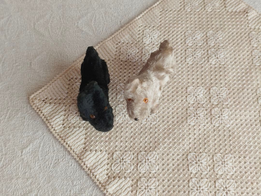 * vintage teria ❀ クリーム色の毛並みの テリアさん