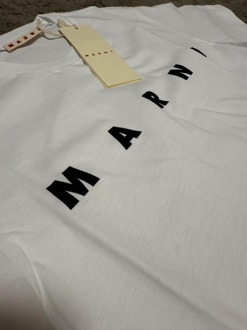 マルニ　キッズTシャツ　12Y 150cm 新品