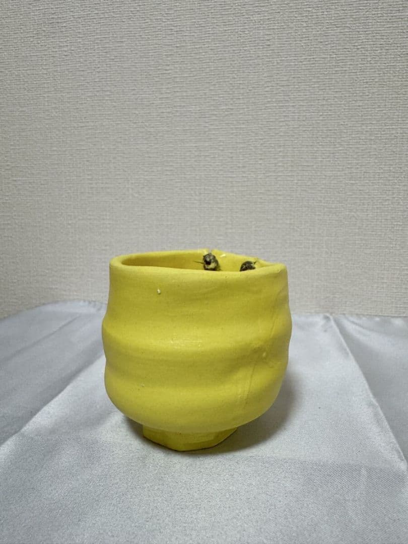 桑田卓郎 ぐい呑