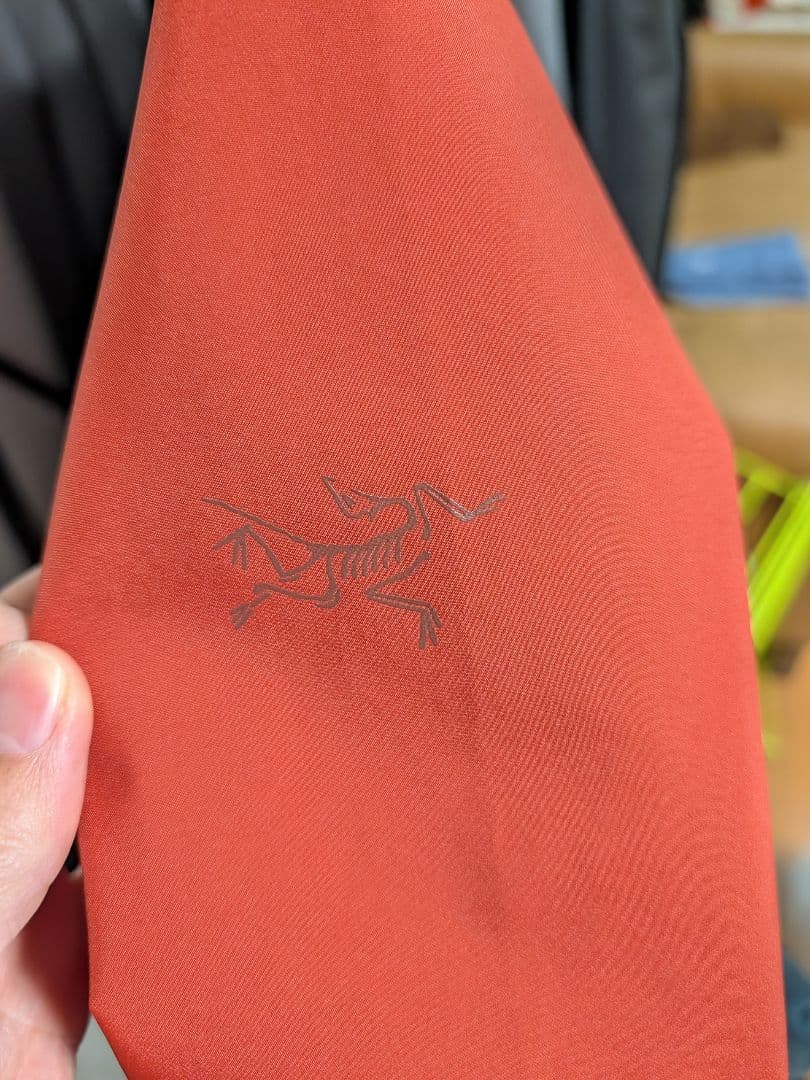 【新品未使用】アークテリクス　レイル ジャケット メンズ【レア】