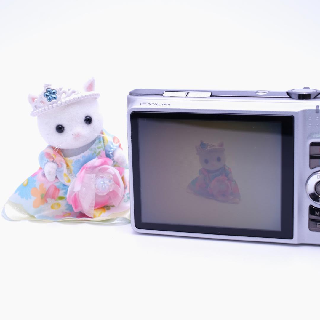 ❤️極美品　CASIO EXILIM EX-H10 カシオ コンデジ