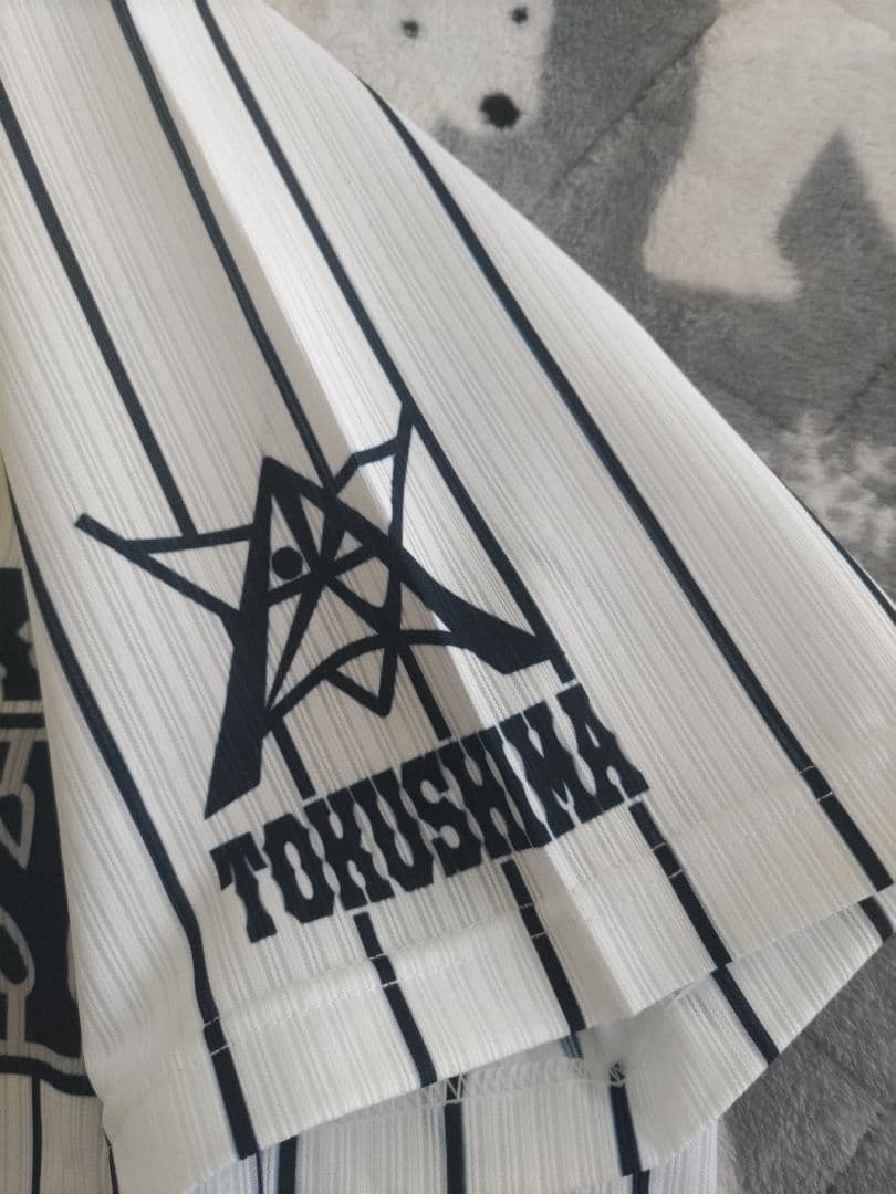 阿南光高校野球部ユニフォームL