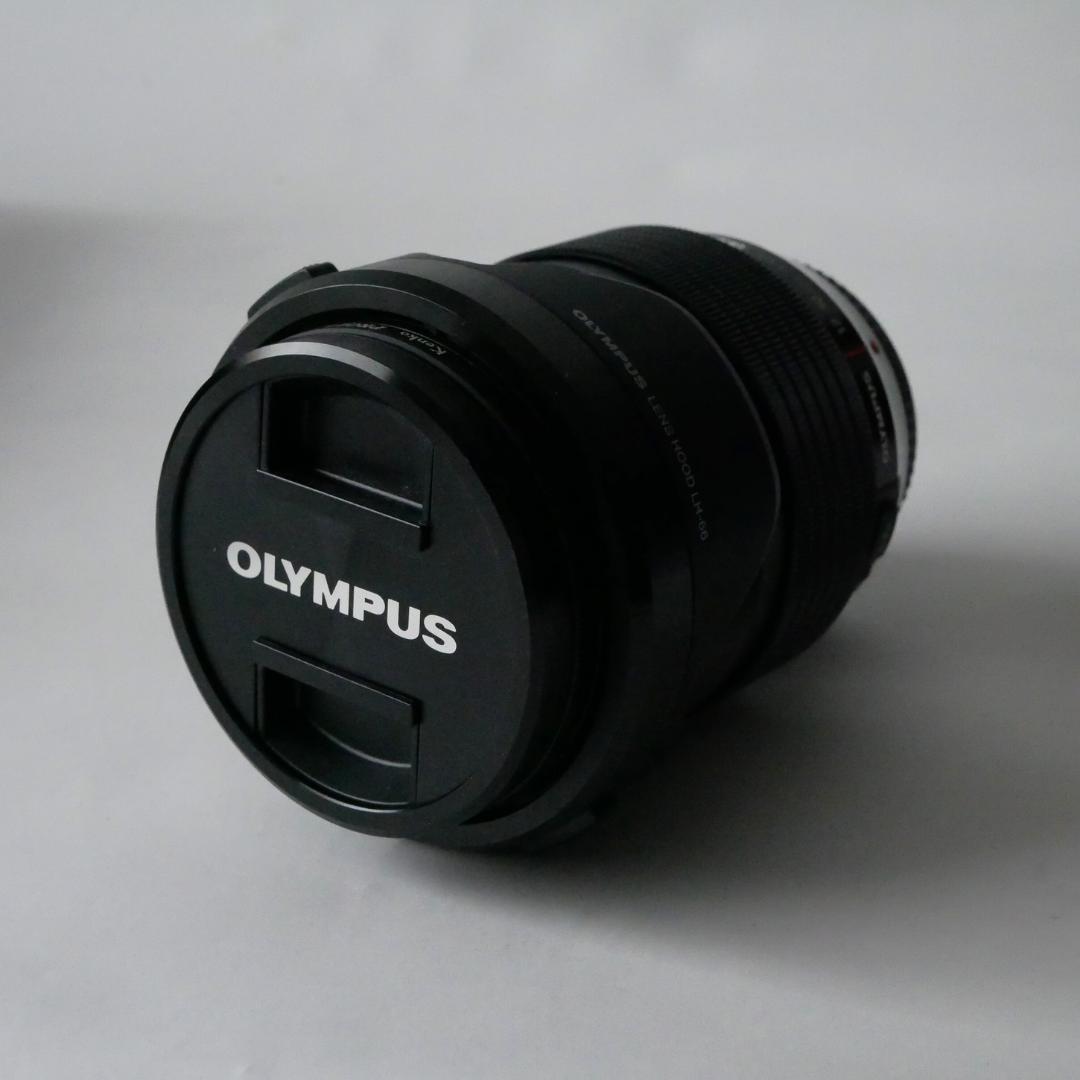 【美品・シャッター回数1178回】オリンパス OM-D E-M5 Mark II