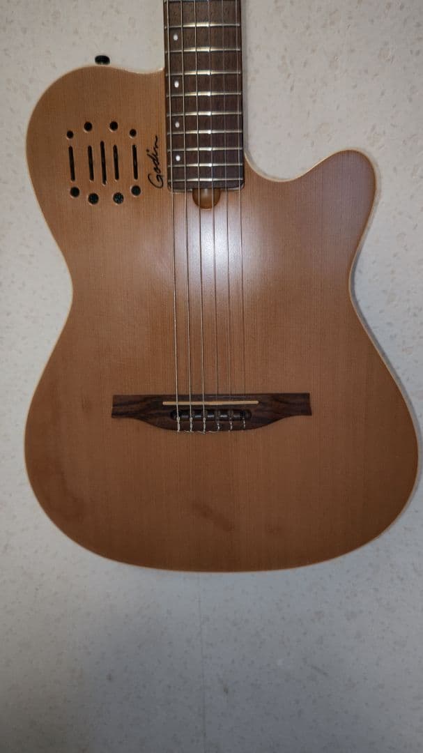 ゴダンギター　Multiac Nylon Encore