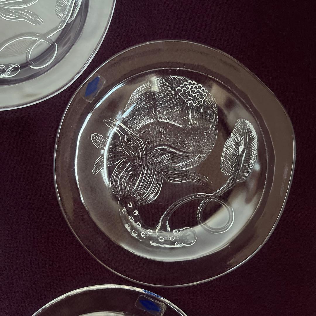 【 イッタラ 】 NUUTA JARVI ヌータヤルヴィ　ピオニプレートセット