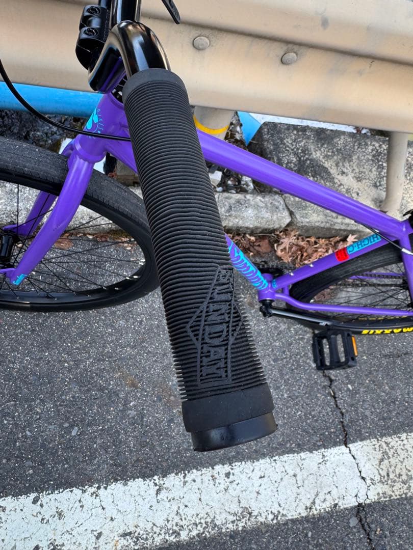 [引取り限定] BMX Sunday High C 29 Inch 2025