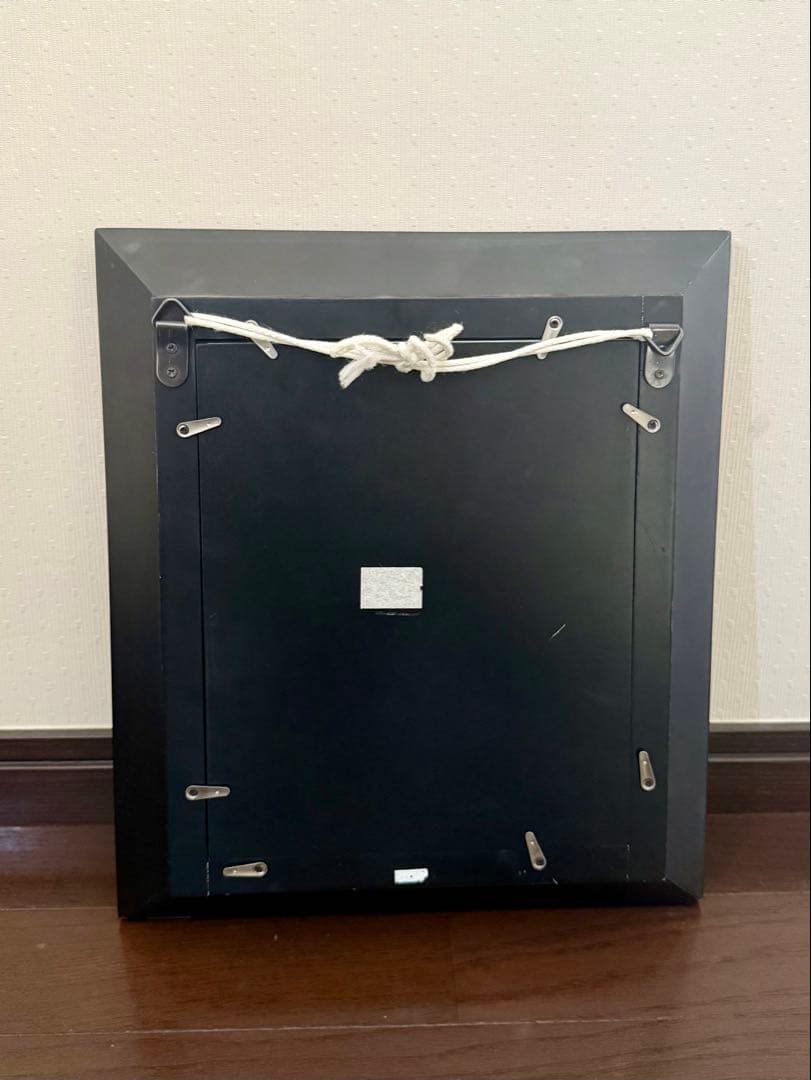 高級4面ミラーのフォトフレーム 額縁 四角形 赤いコーラル